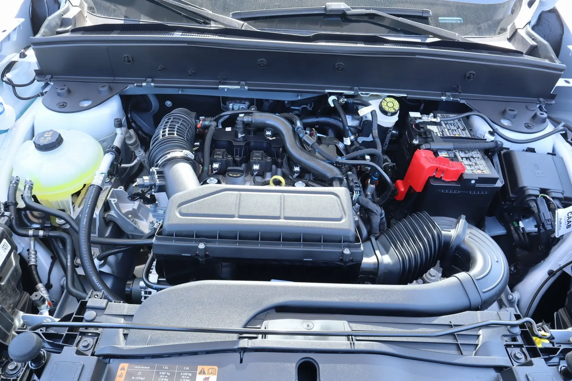 image-15