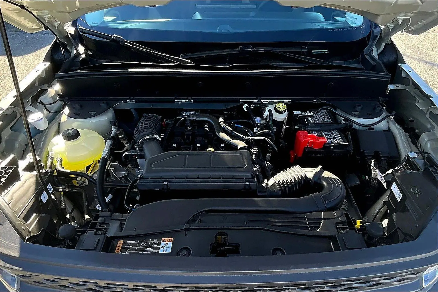 image-9
