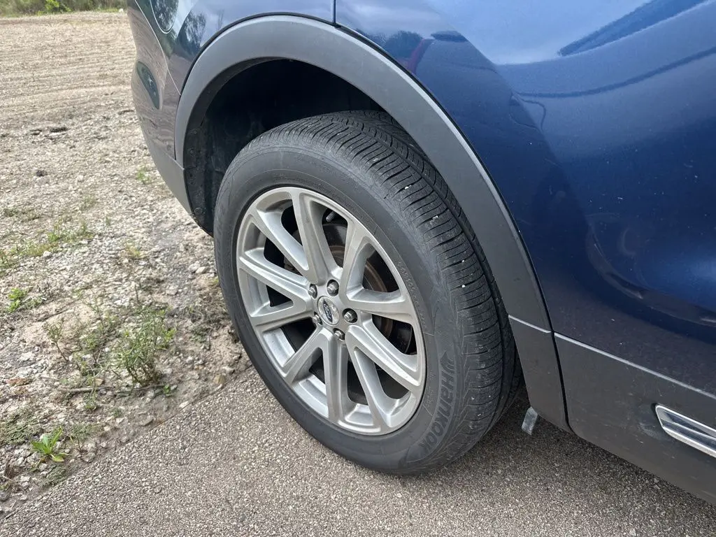 image-7