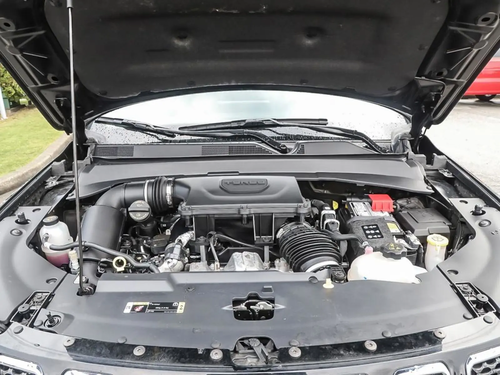 image-7