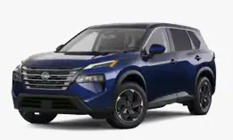Rogue sv
