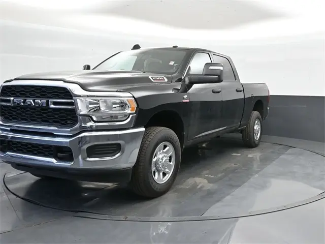 image-7