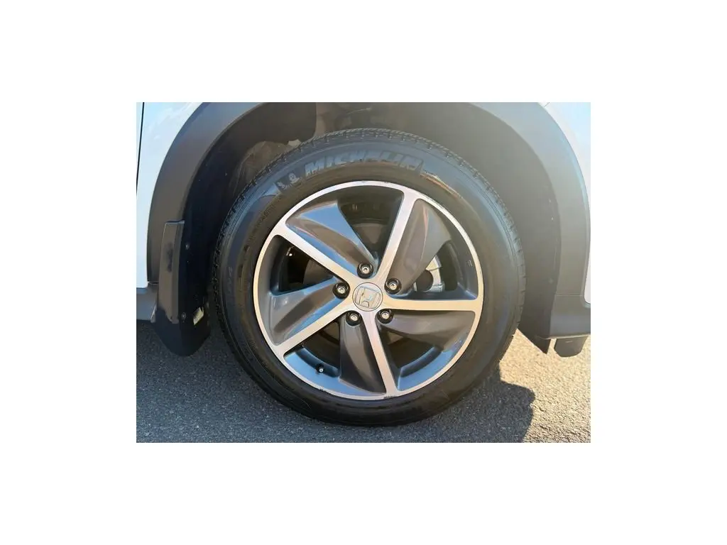 image-11