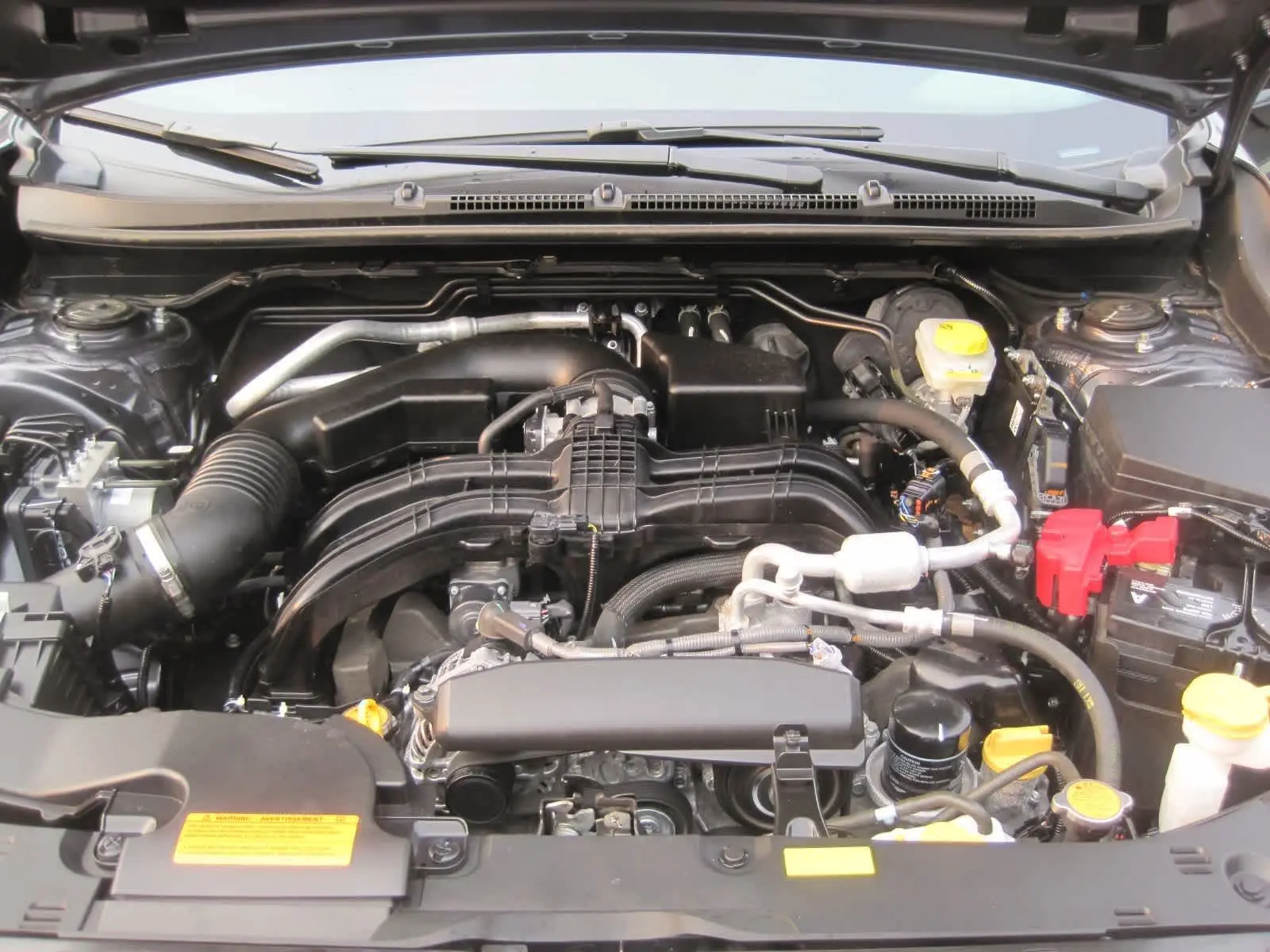 image-6