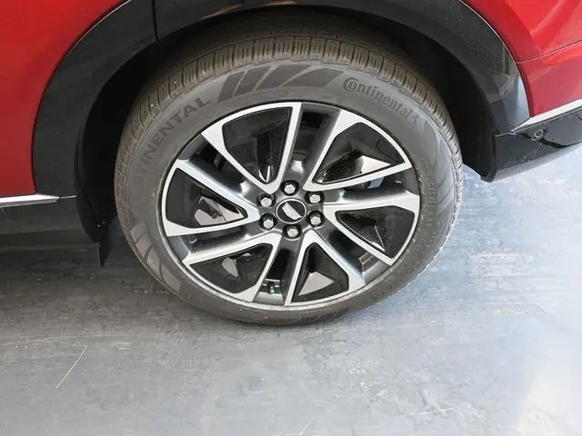 image-11