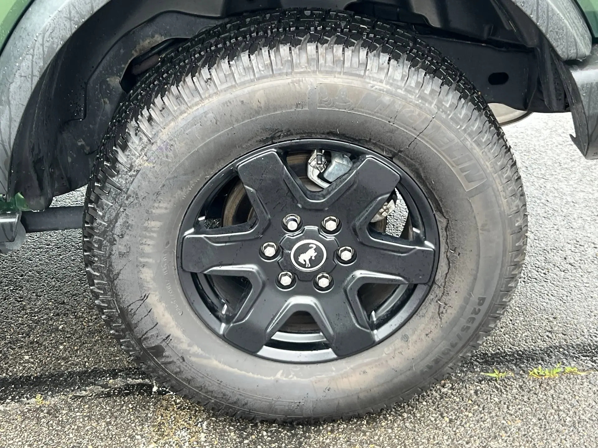 image-19