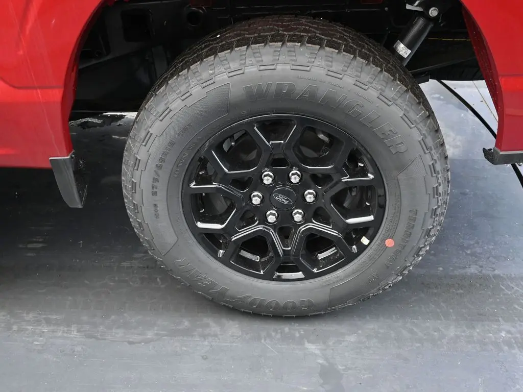 image-11