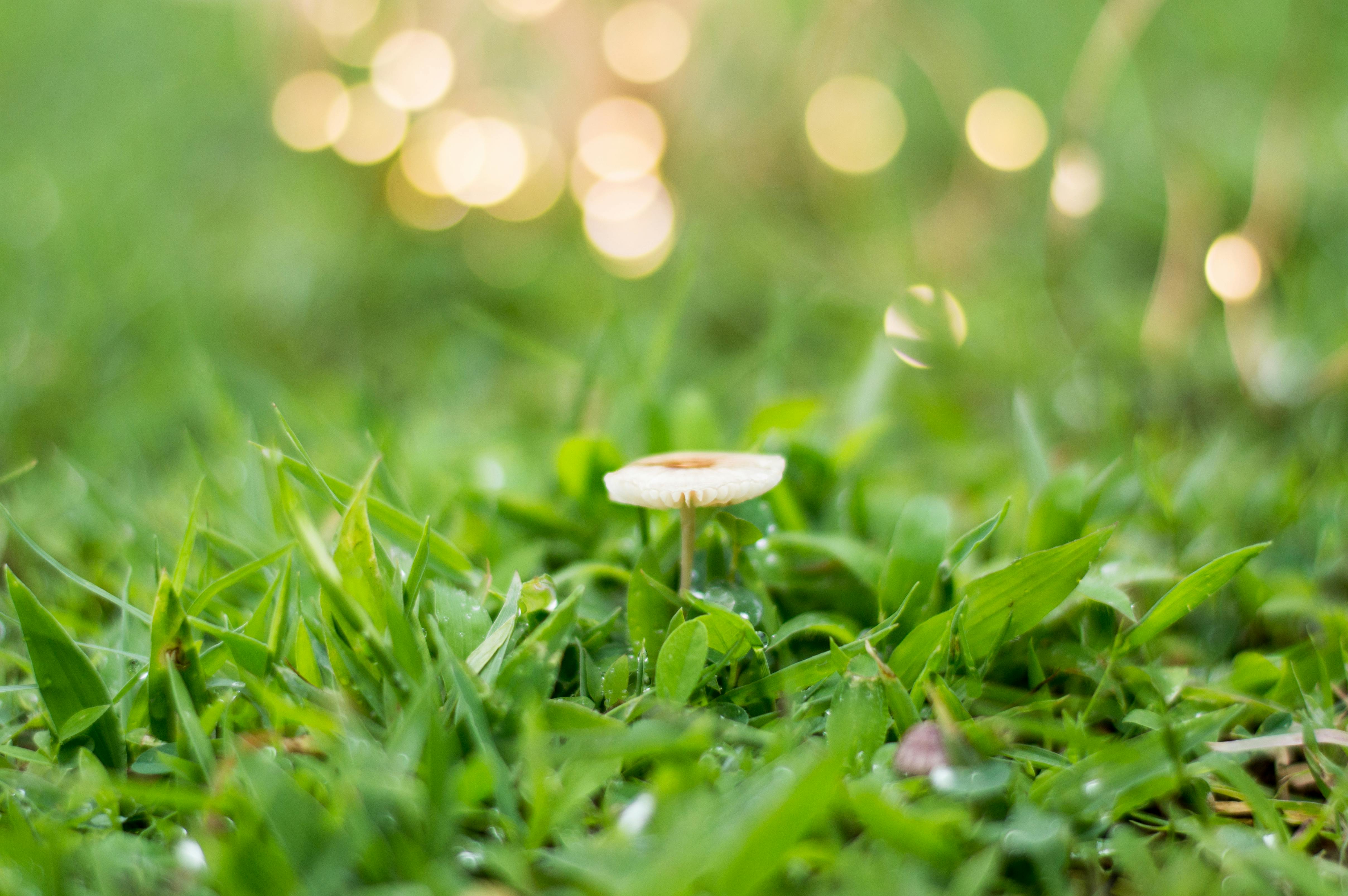 Happy truck customer receiving keys