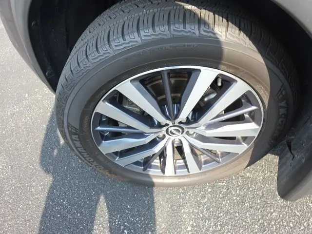 image-7