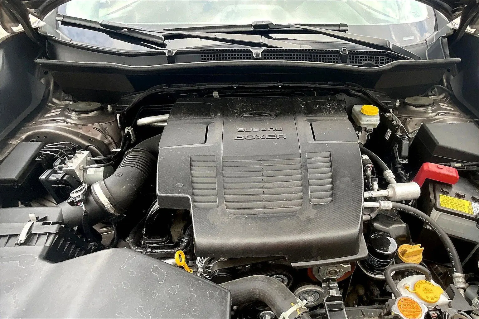 image-10