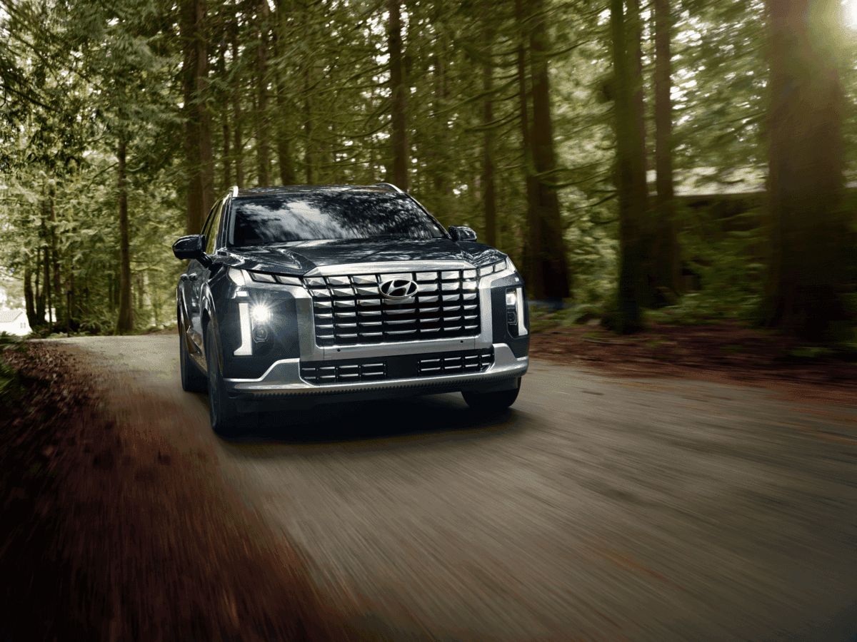 Gray Hyundai Palisade driving through a forest road