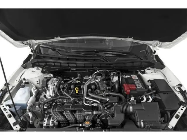 image-14
