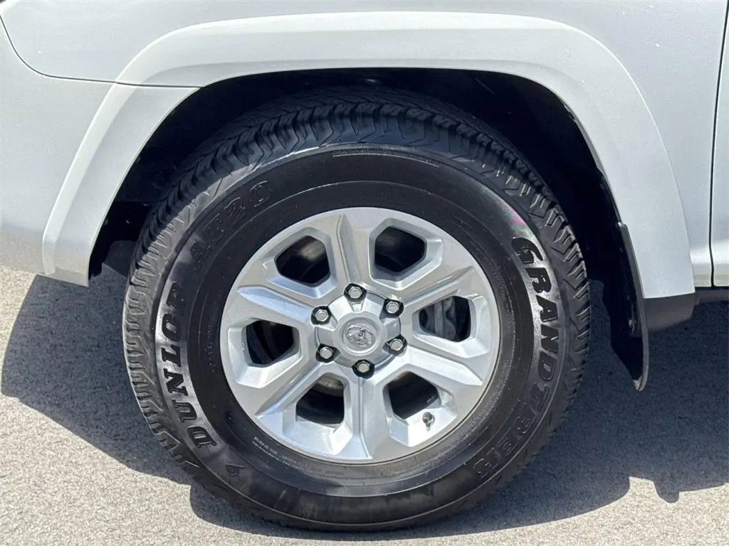 image-19
