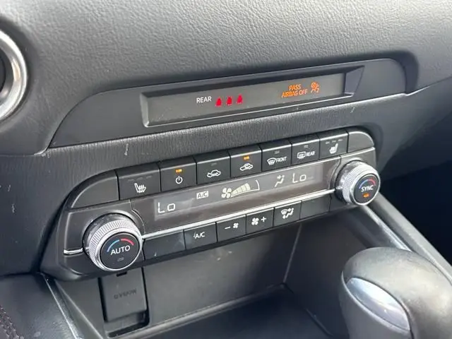 image-19