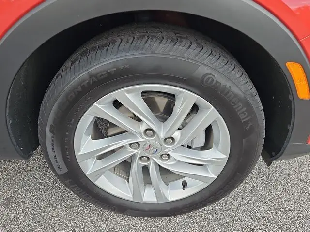 image-11
