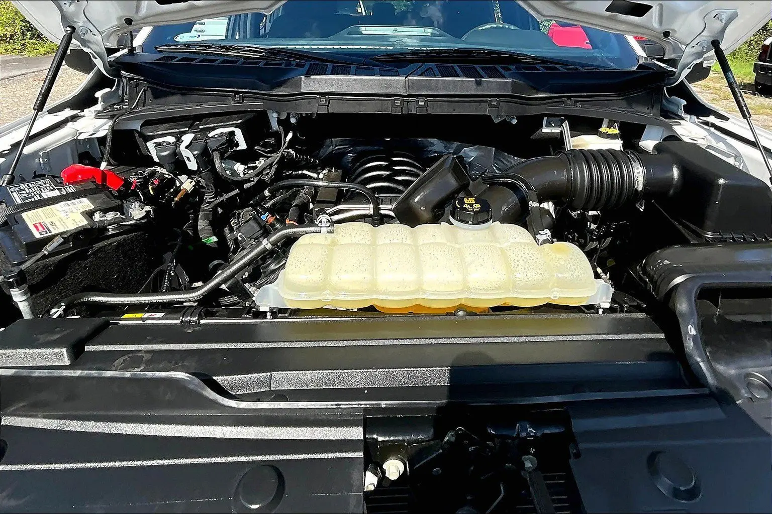 image-8