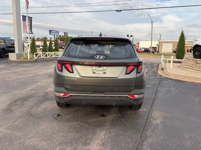 image-10