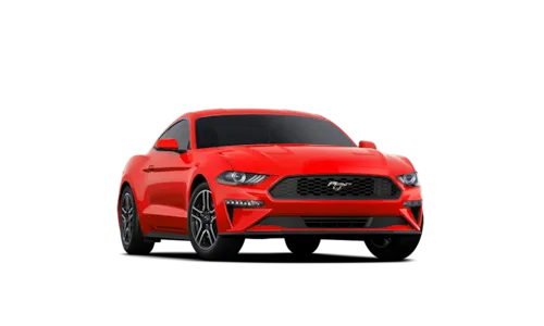 Mustang