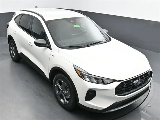 image-19