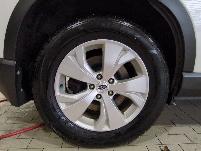 image-19
