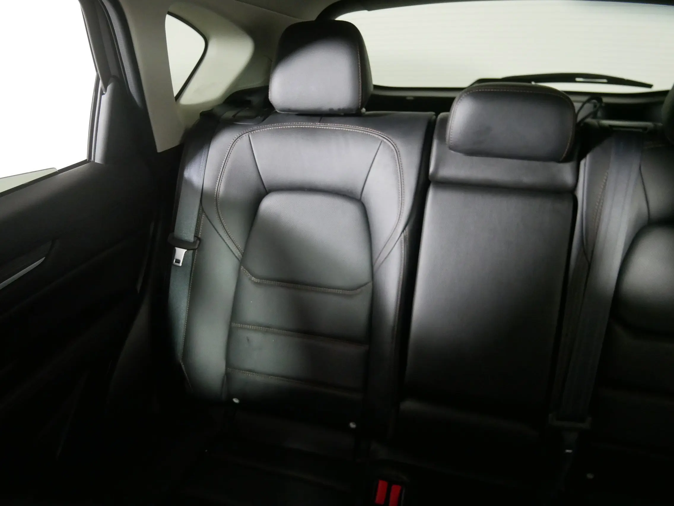 image-11