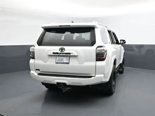 image-7