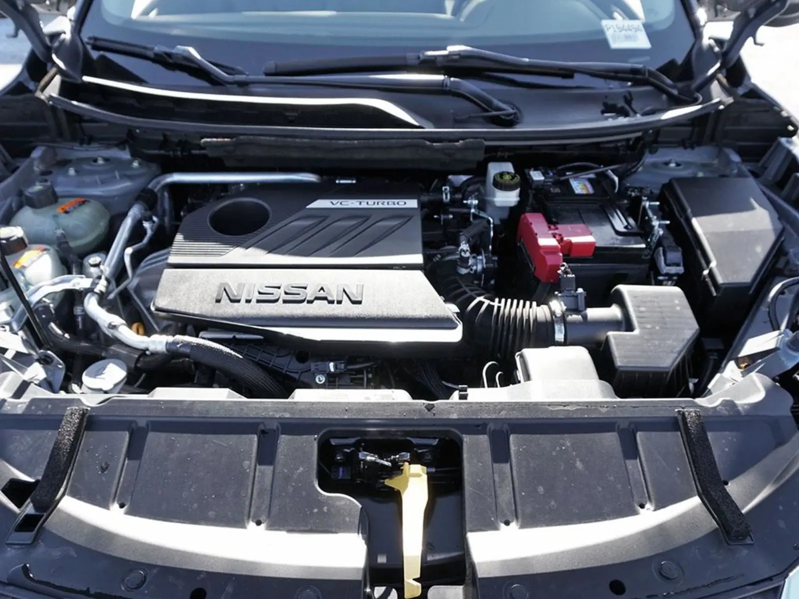 image-7