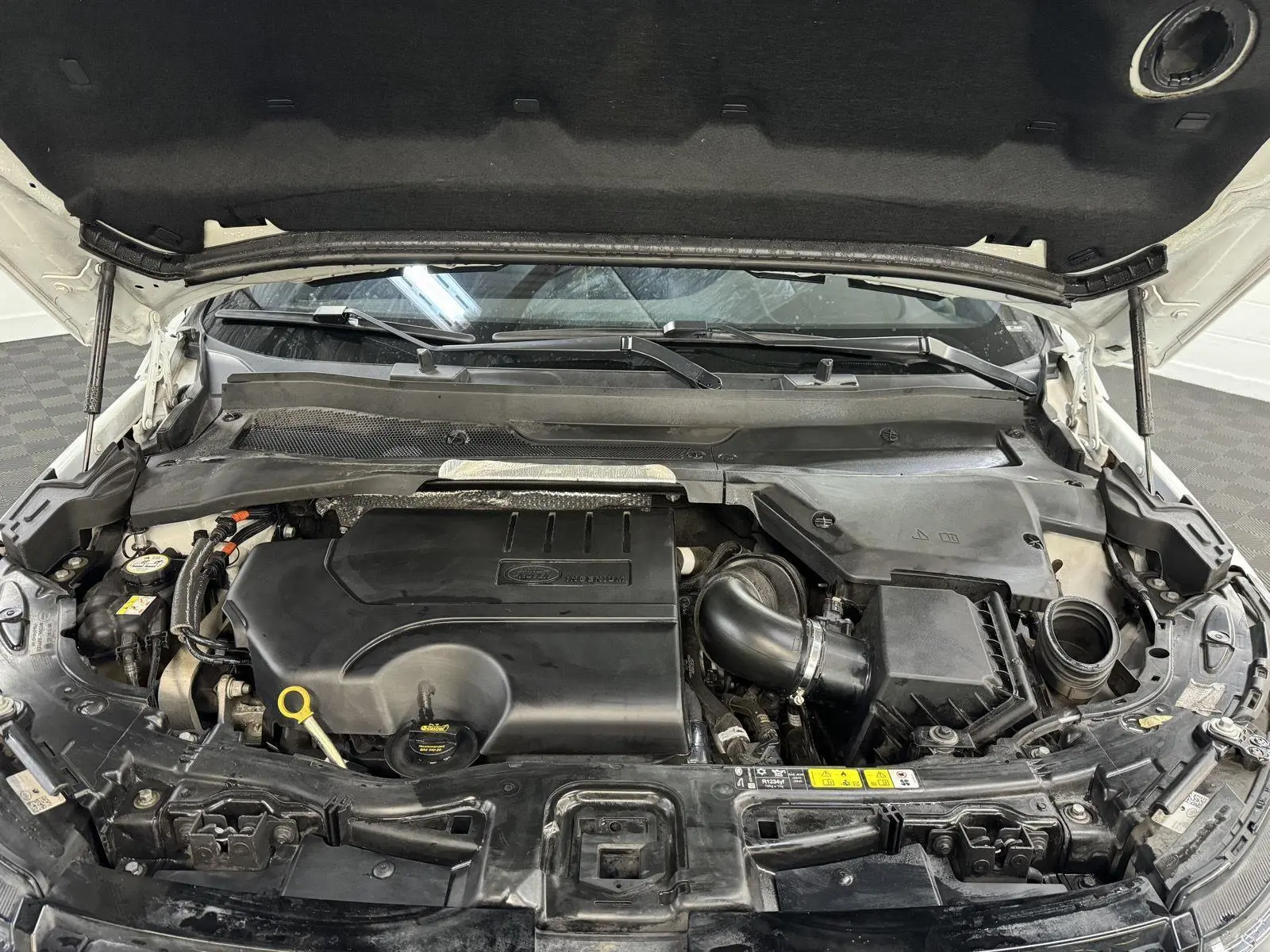 image-8