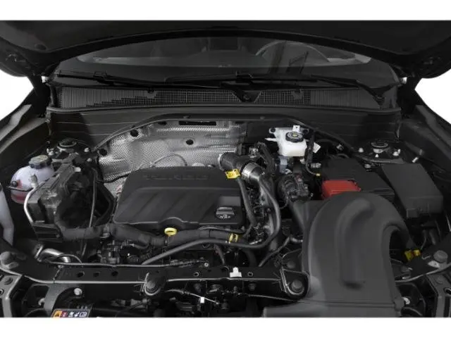 image-14