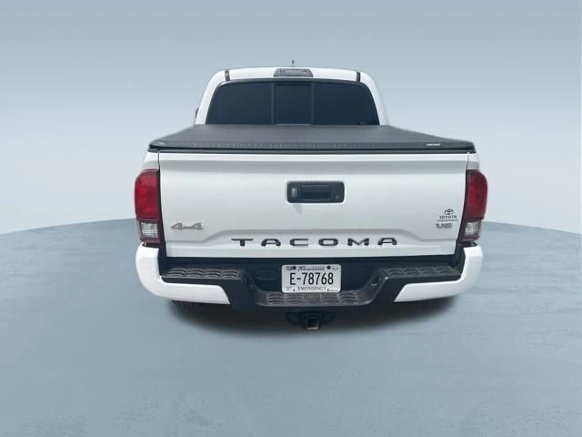 image-7