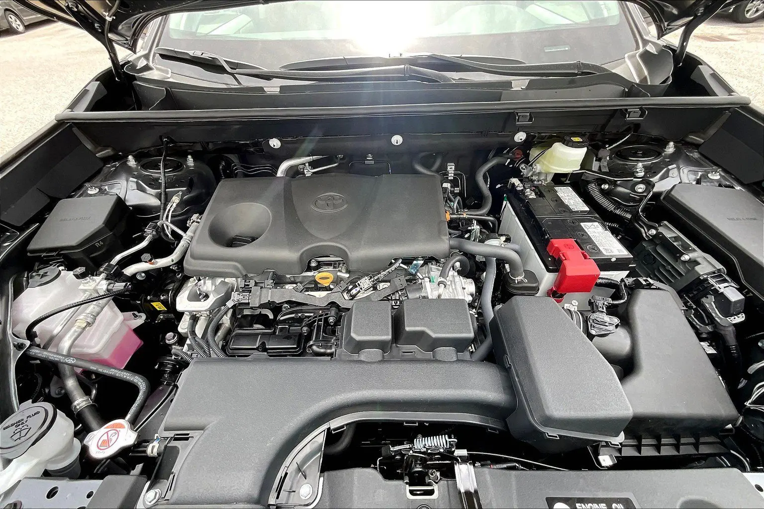 image-12