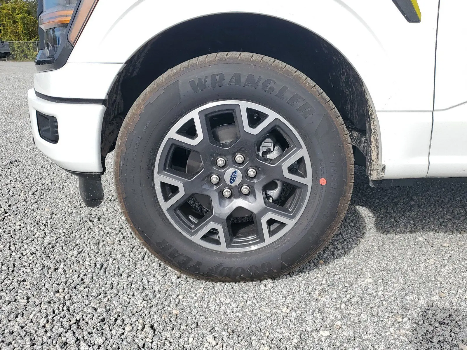 image-5