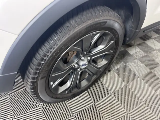image-7