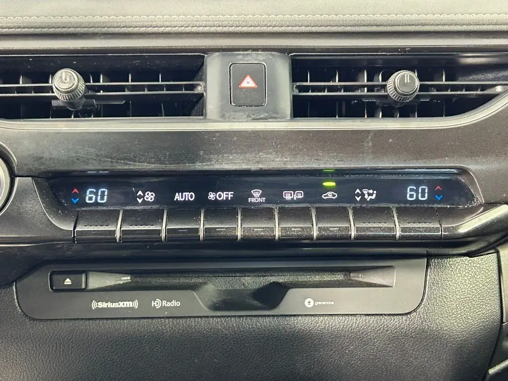 2021 Lexus UX 250h photo 20
