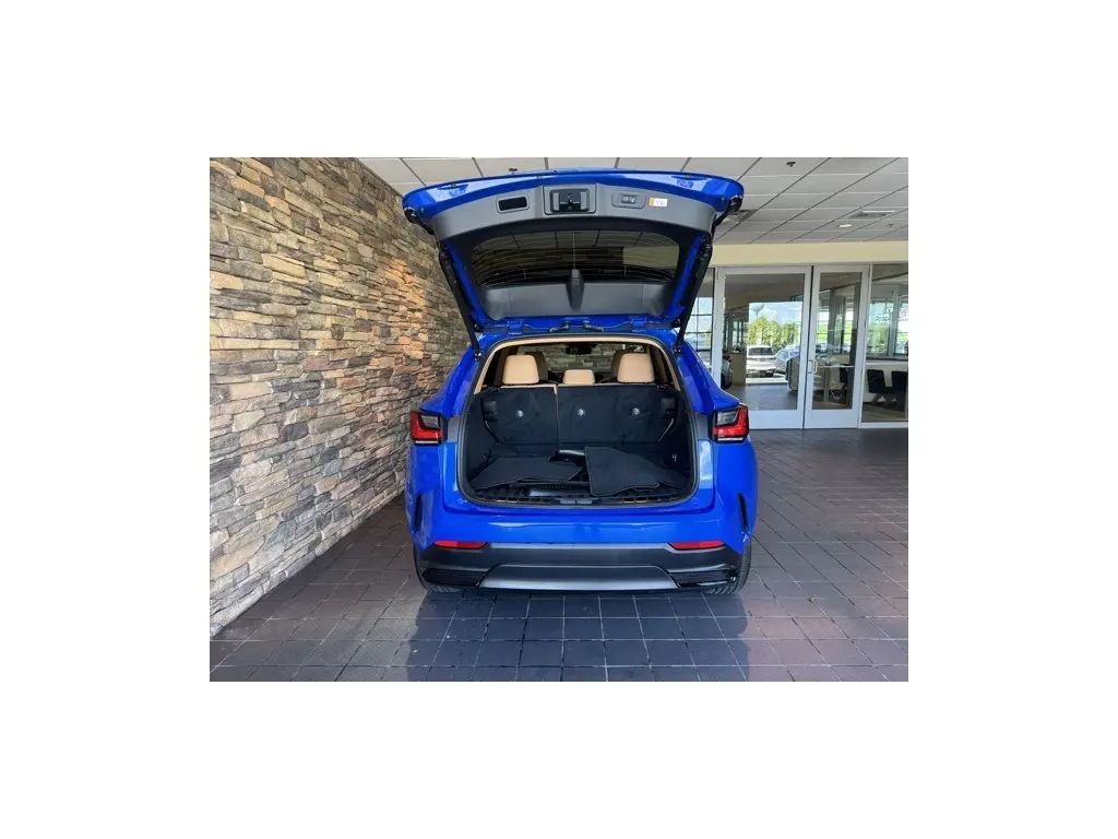 image-11