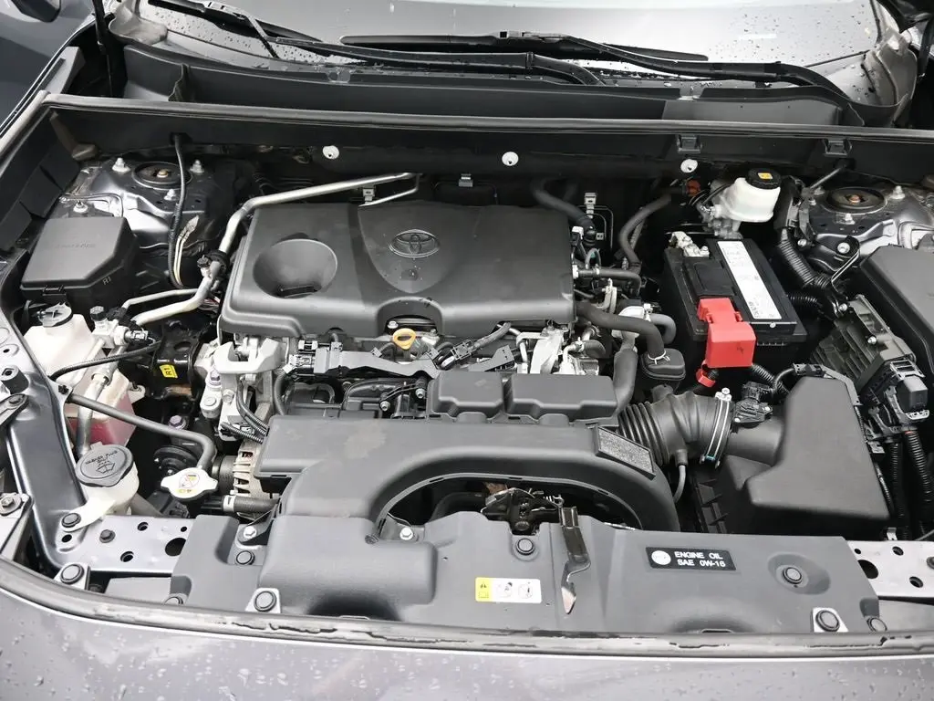 image-19