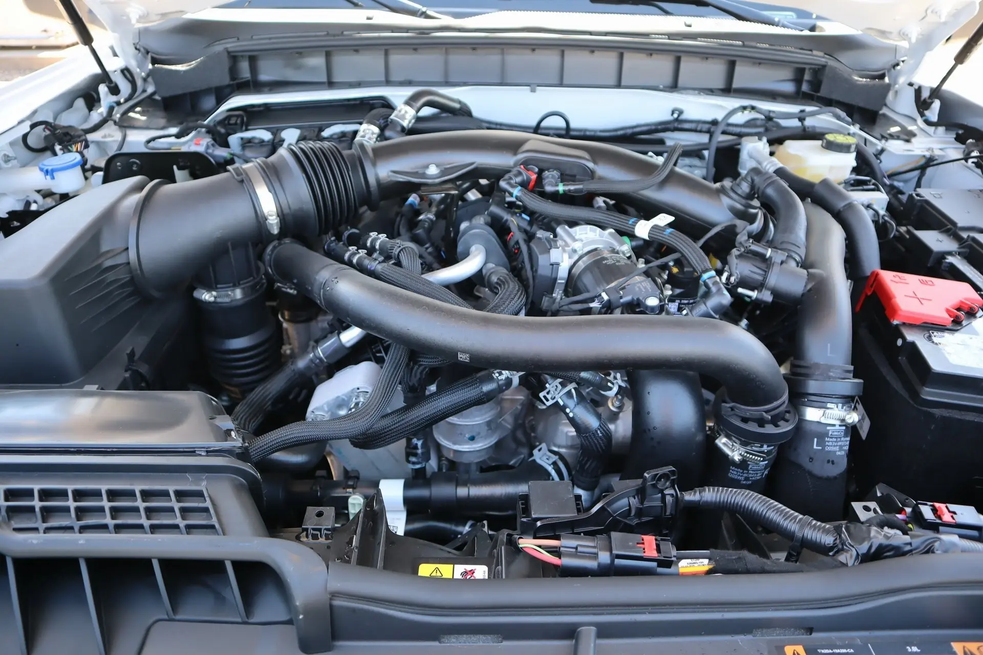 image-19