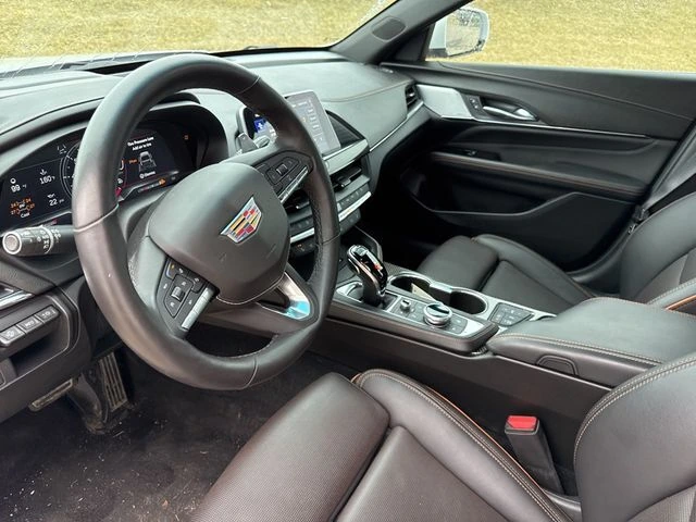 image-19
