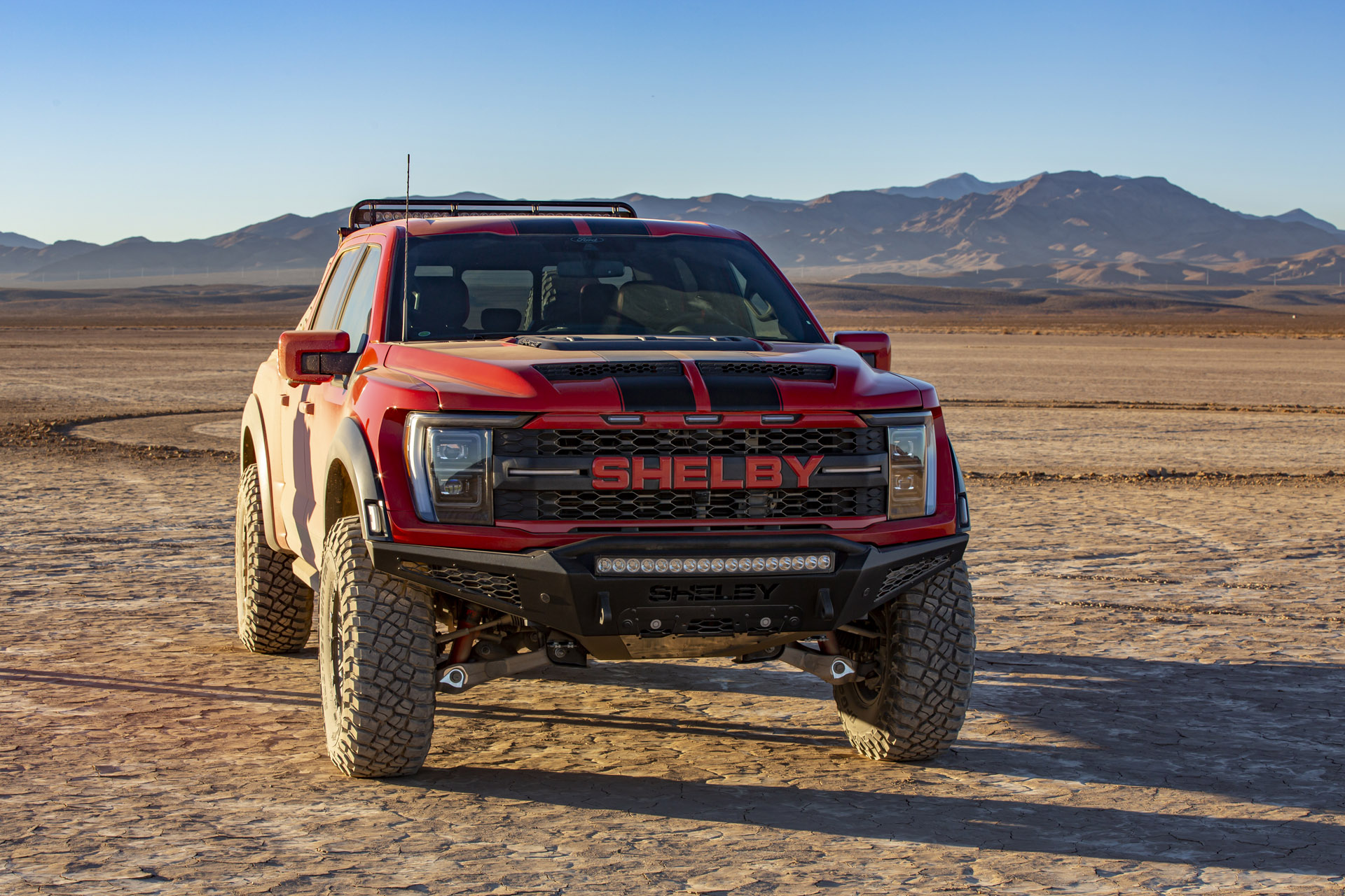 shelby Raptor