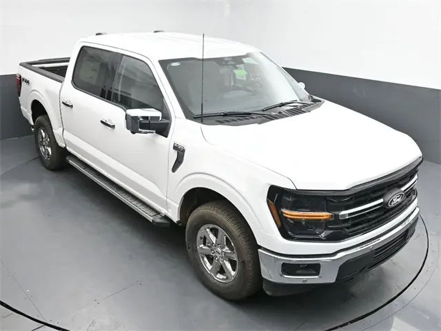 image-19