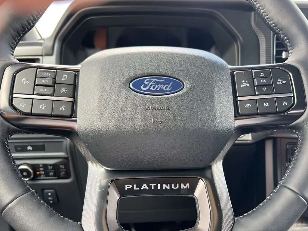 2025 Ford F-150 Platinum photo 11