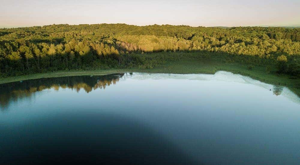 The pond at Mendon Ponds Park.