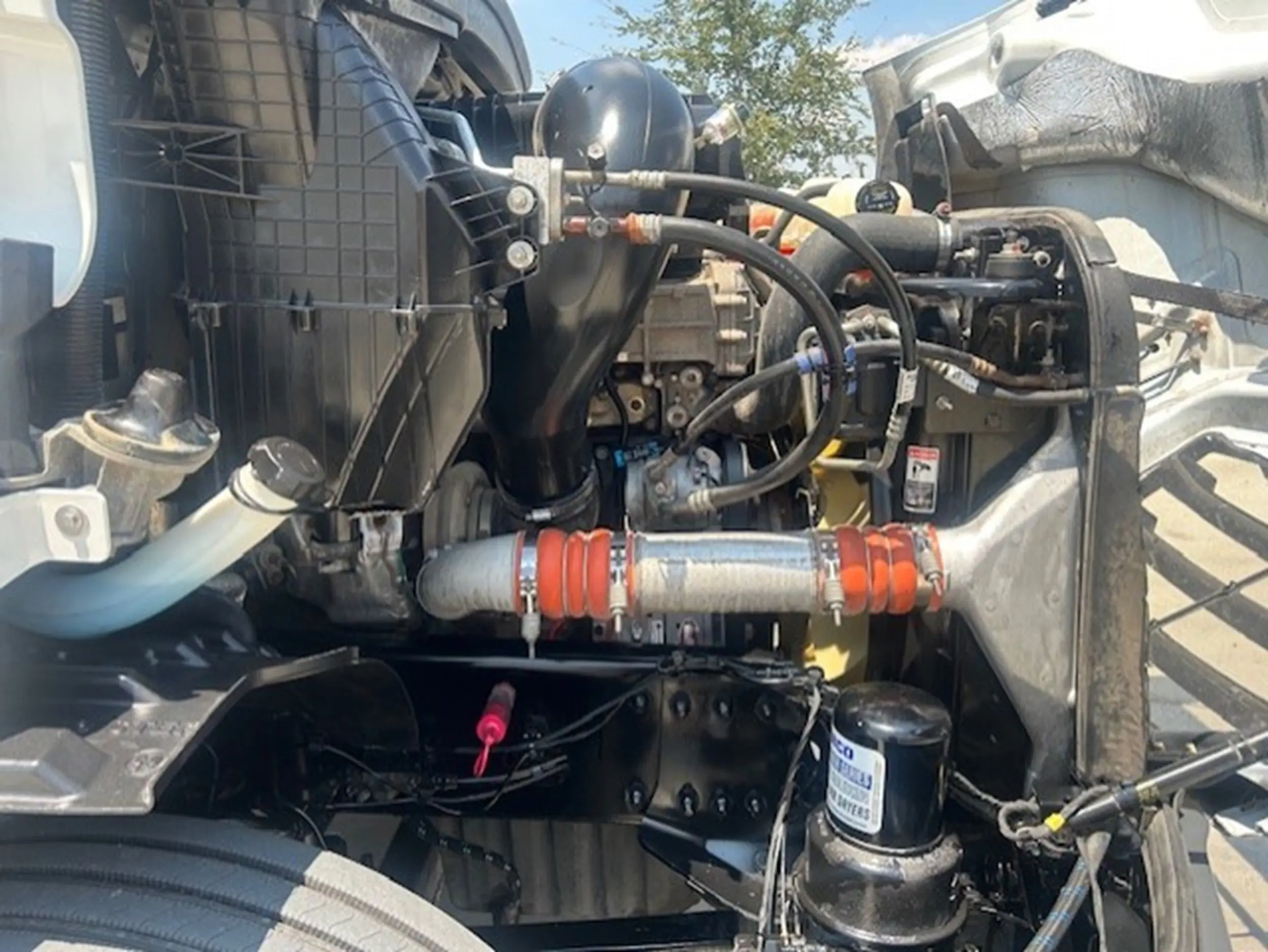 image-11