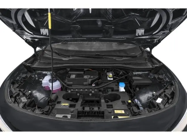 image-14