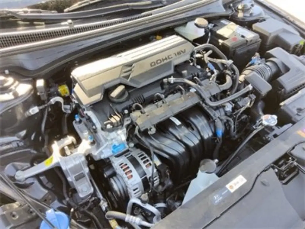 image-19