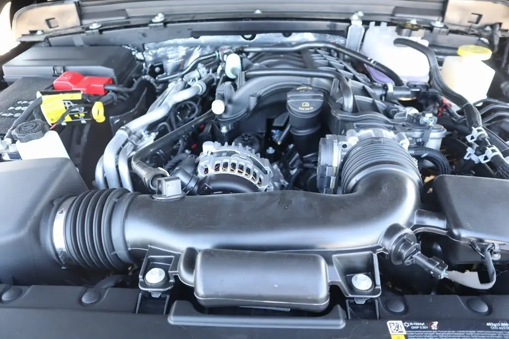 image-19