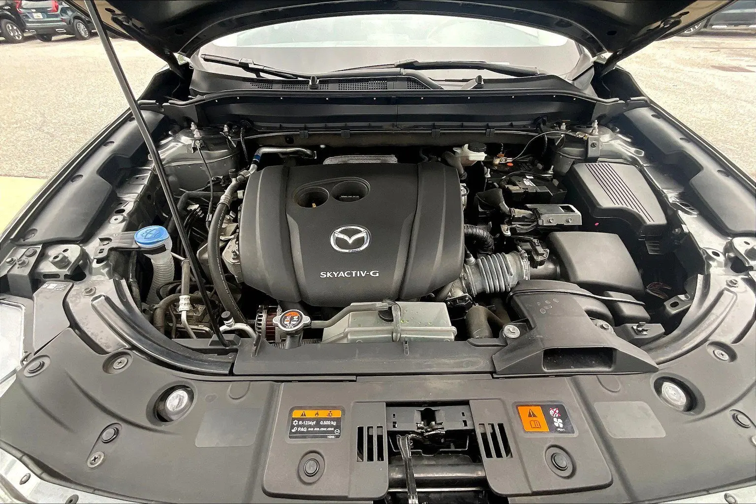 image-12