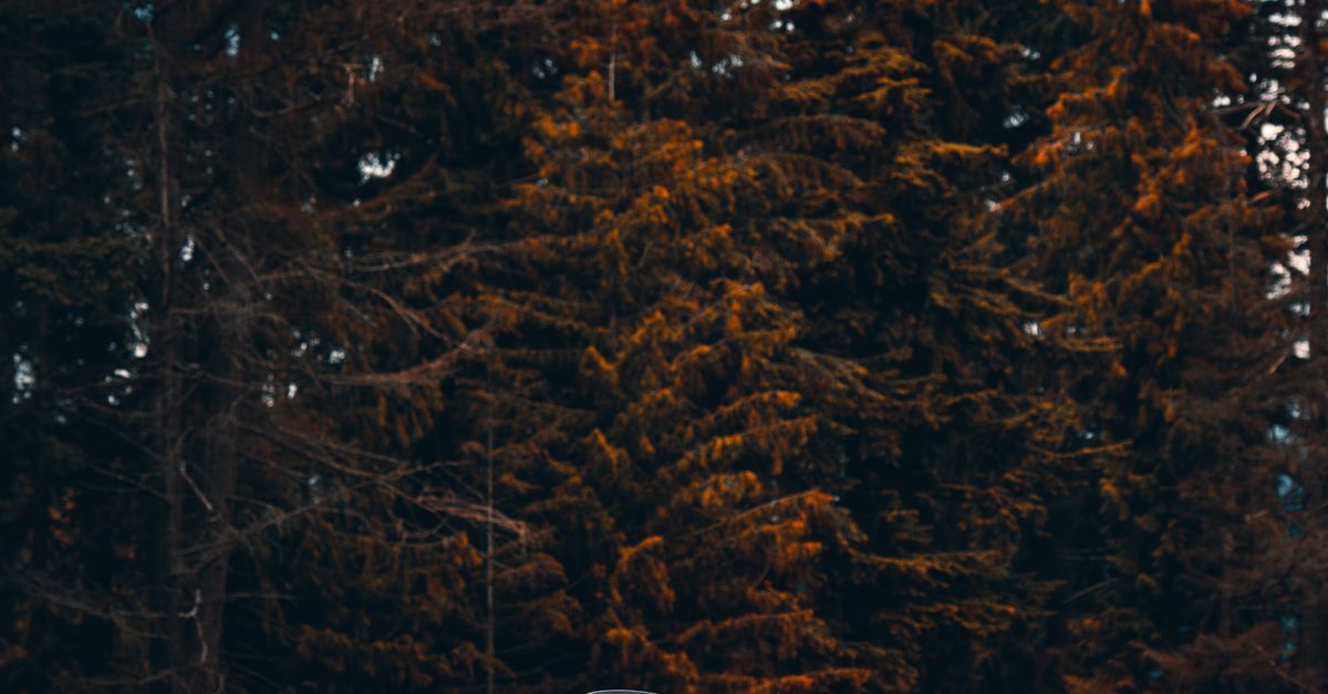 Blog Cover Image