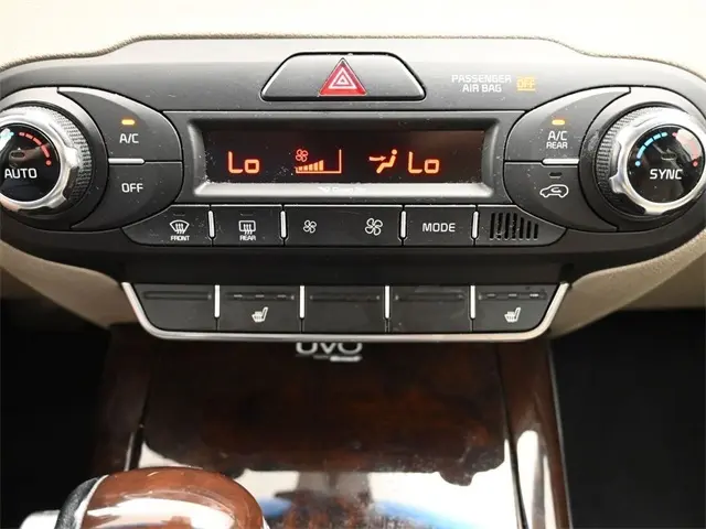 image-19