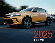 2025 Hornet